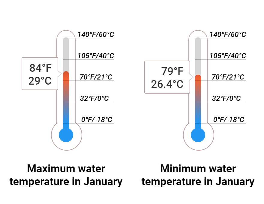 Average Sea temperature